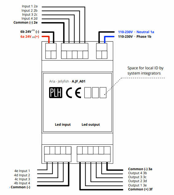 Jellyfish A.JF_A01 PLH Anschlüsse