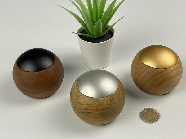 LEPUK Arditi Fernbedienung LEPUK Arditi Fernbedienung