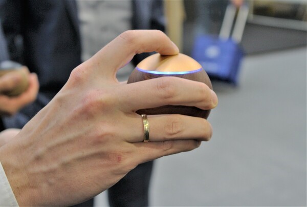 LEPUK Arditi Fernbedienung LEPUK Arditi Fernbedienung