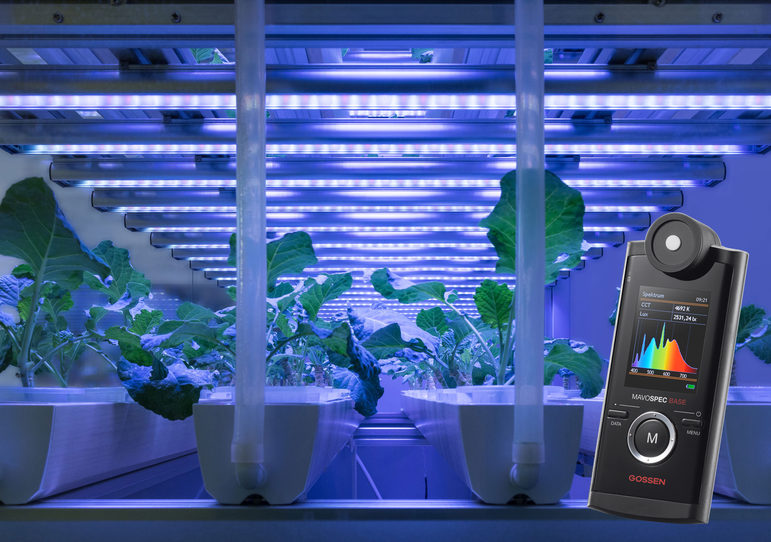 mavo spec Pflanzenlicht PPFD
