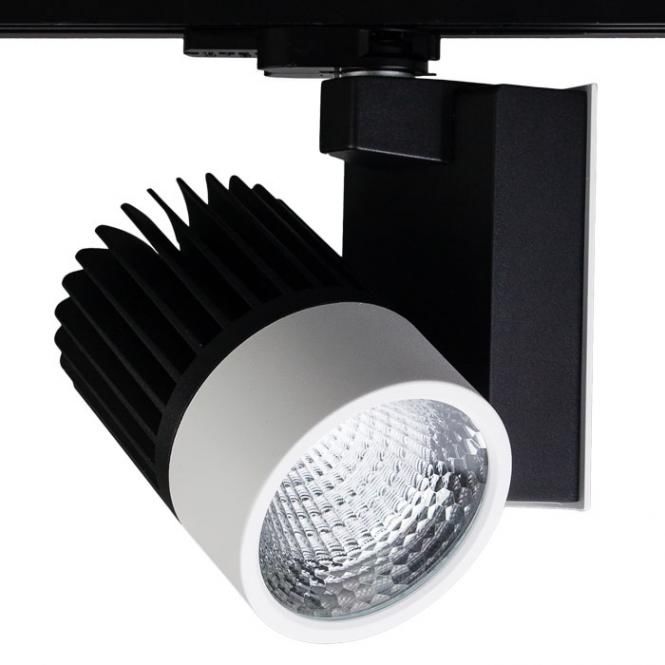 LED Track spotlights BWS40 LED Track spotlight DALI BWS40-DA